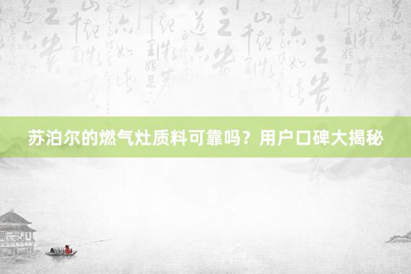 苏泊尔的燃气灶质料可靠吗？用户口碑大揭秘