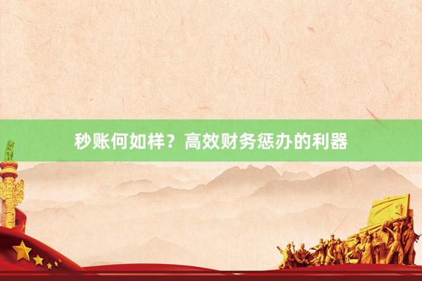 秒账何如样？高效财务惩办的利器