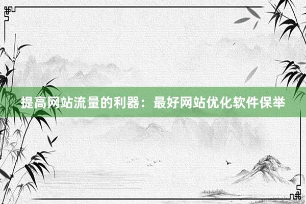 提高网站流量的利器：最好网站优化软件保举