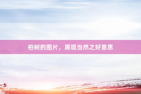 柏树的图片，展现当然之好意思