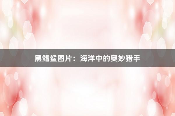 黑鳍鲨图片：海洋中的奥妙猎手